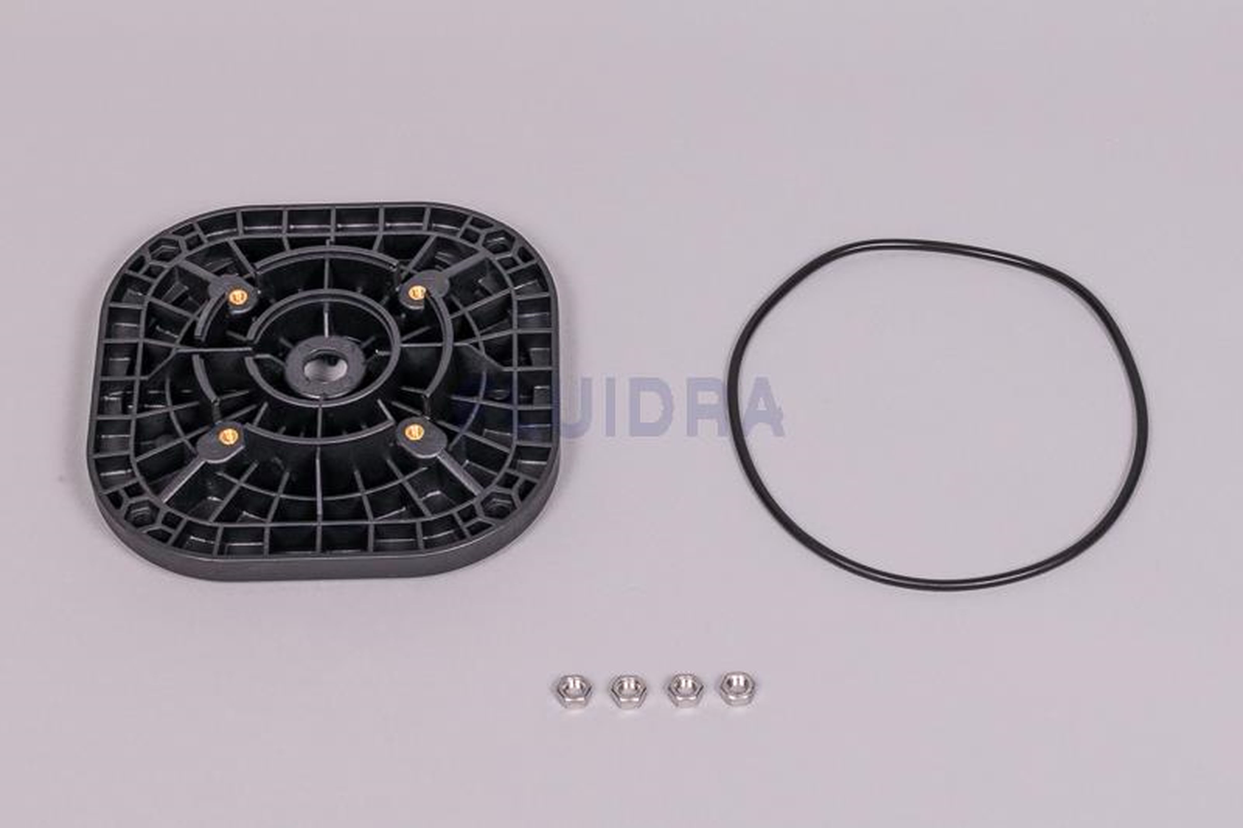 Astralpool - FLASQUE ACCOUPLEMENT MOTEUR C63