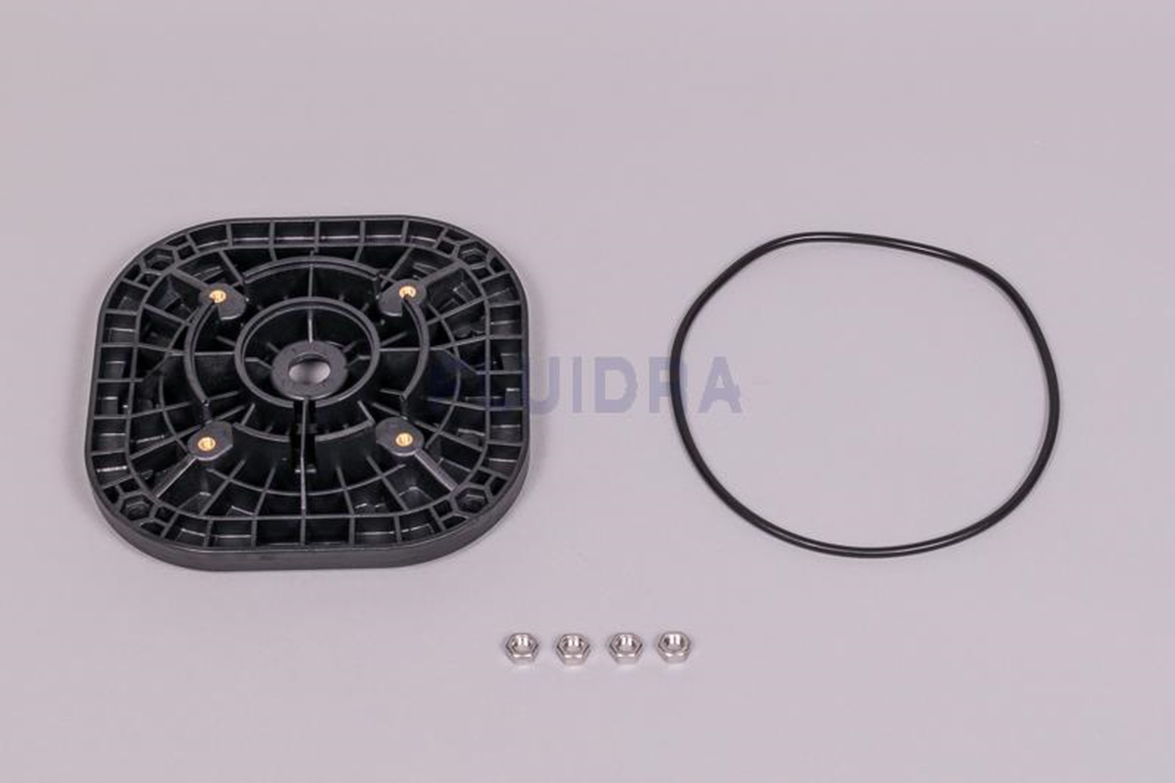 Astralpool - FLASQUE ACCOUPLEMENT MOTEUR C71