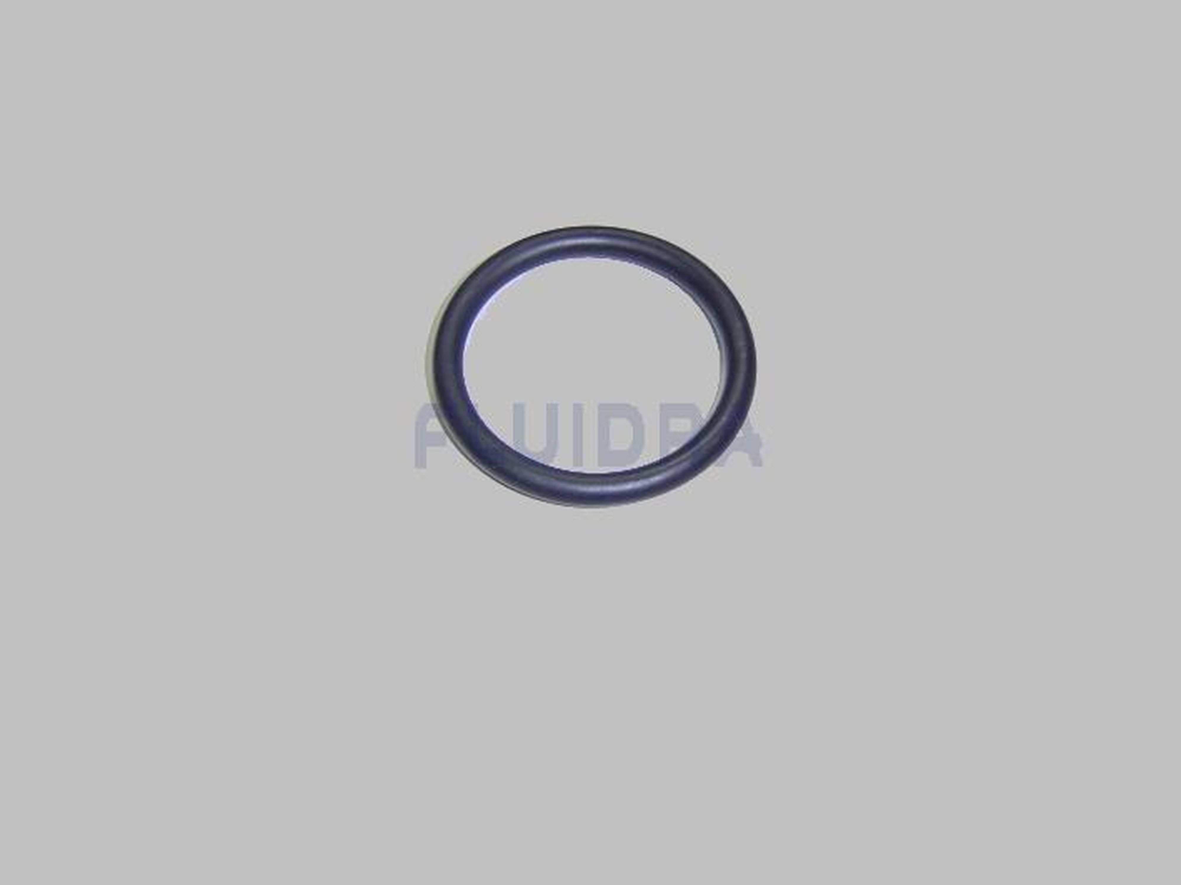 Astralpool - JOINT TORIQUE D38X5 PPE SENA