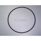 Astralpool - JOINT TORIQUE D118X5 SENA