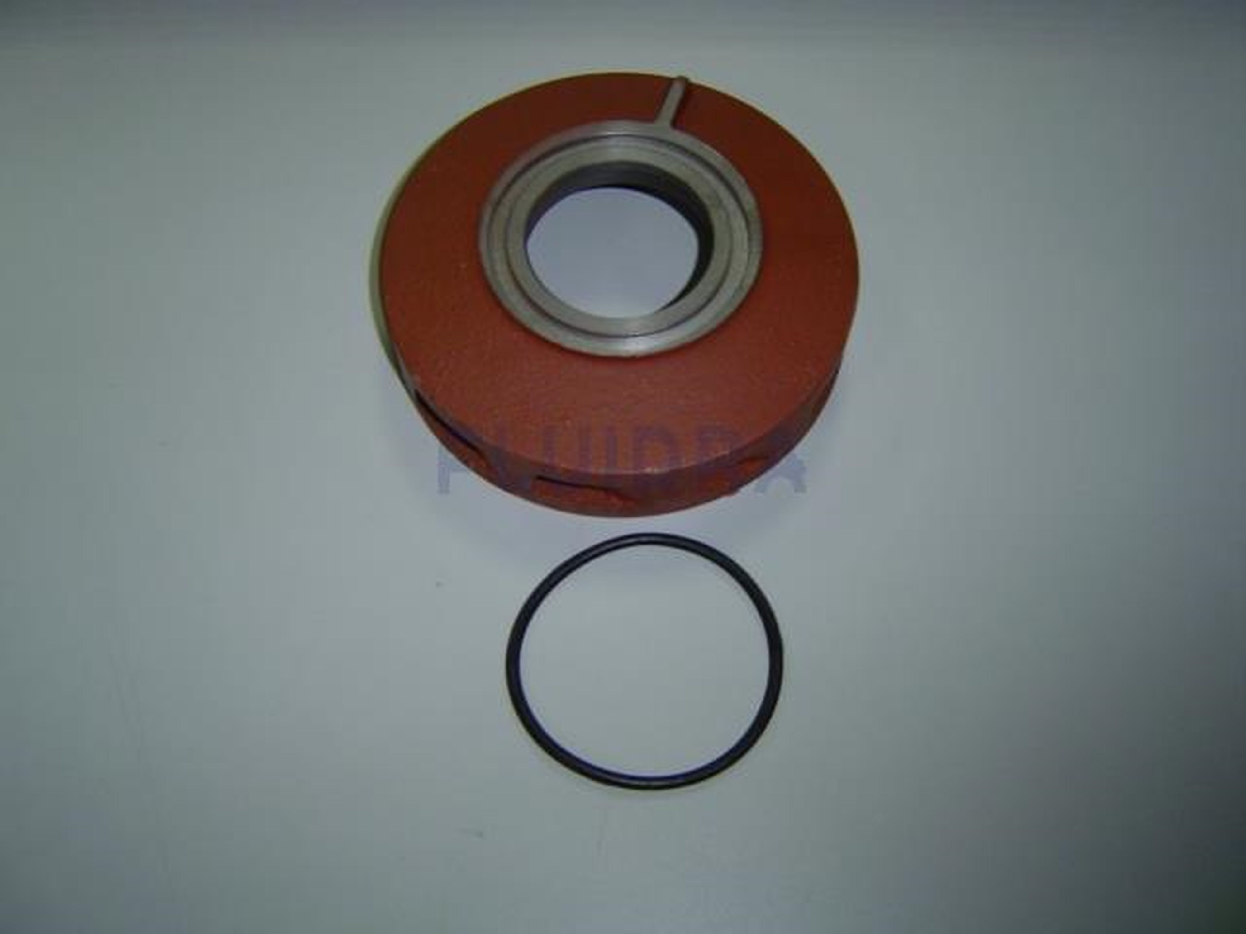 Astralpool - DIFFUSEUR 2CV 4405010513