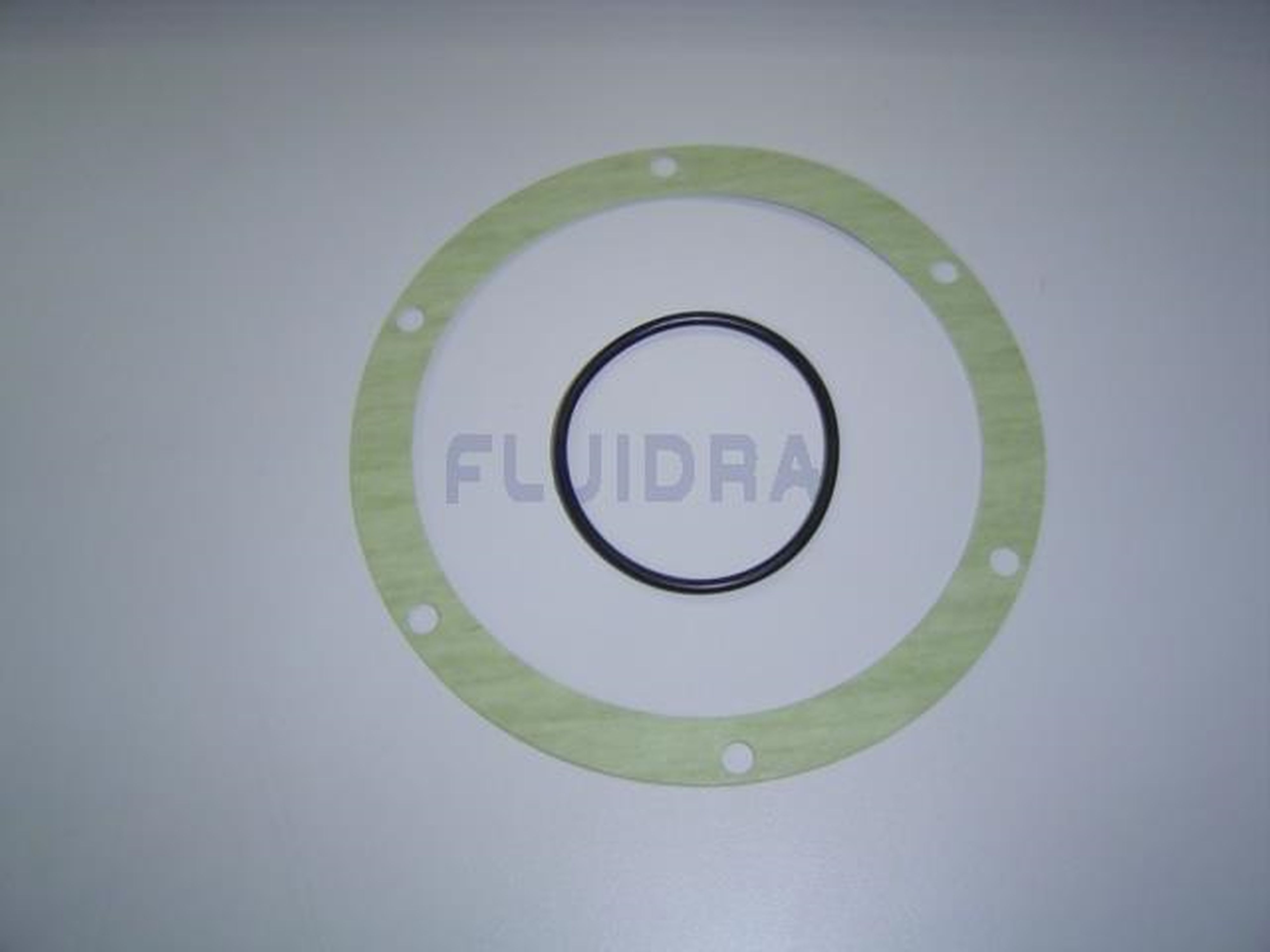 Astralpool - JOINT POMPE 2CV  4405010524