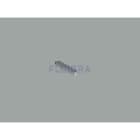Astralpool - GOUPILLE MOTEUR 4405010531