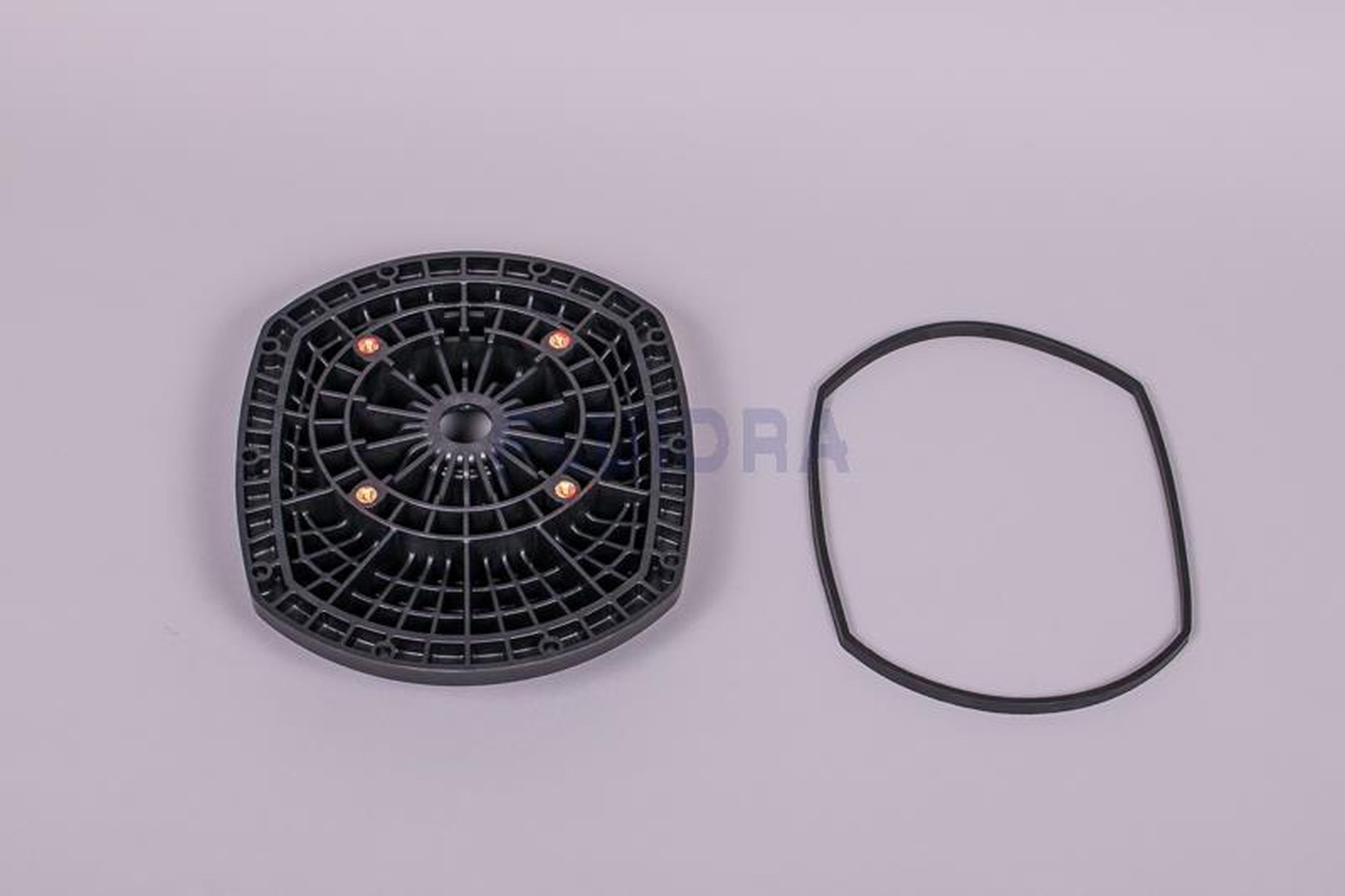 Astralpool - FLASQUE ACCOUP. MOTEUR AGP 125 DOLL (80)