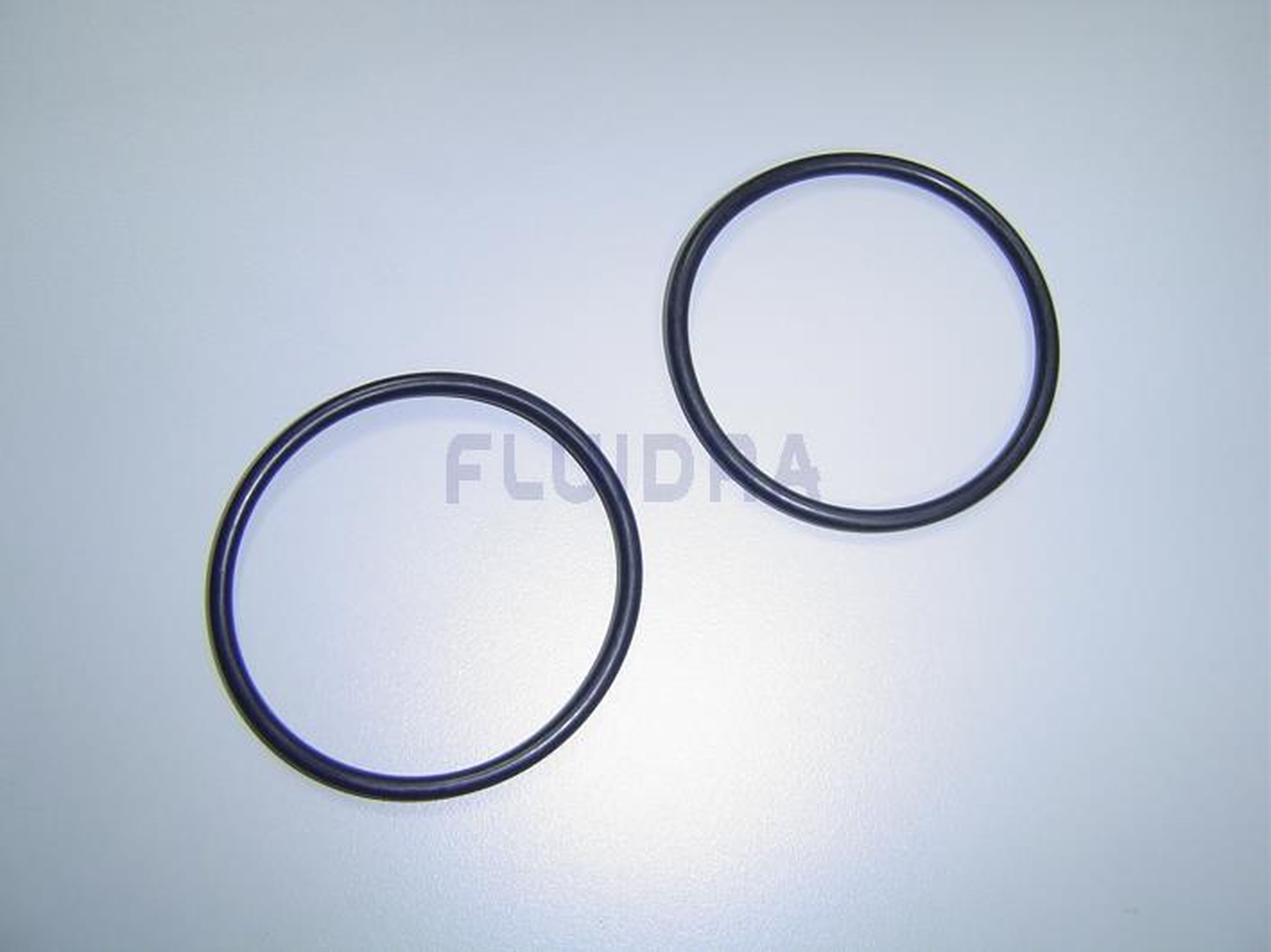 Astralpool - JOINT TORIQUE D63X4 PPE COLUMBIA