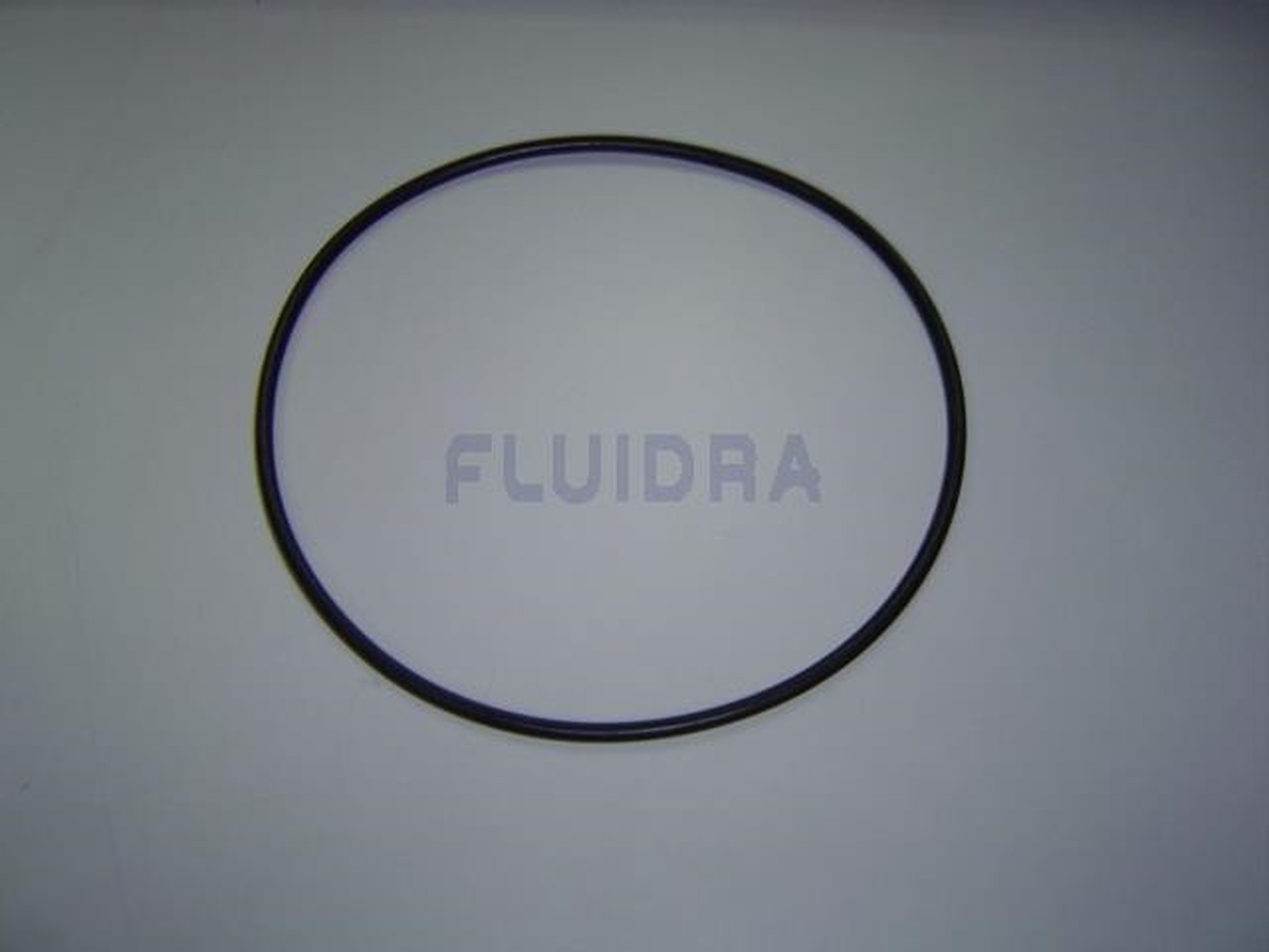 Astralpool - JOINT TORIQUE 226x6