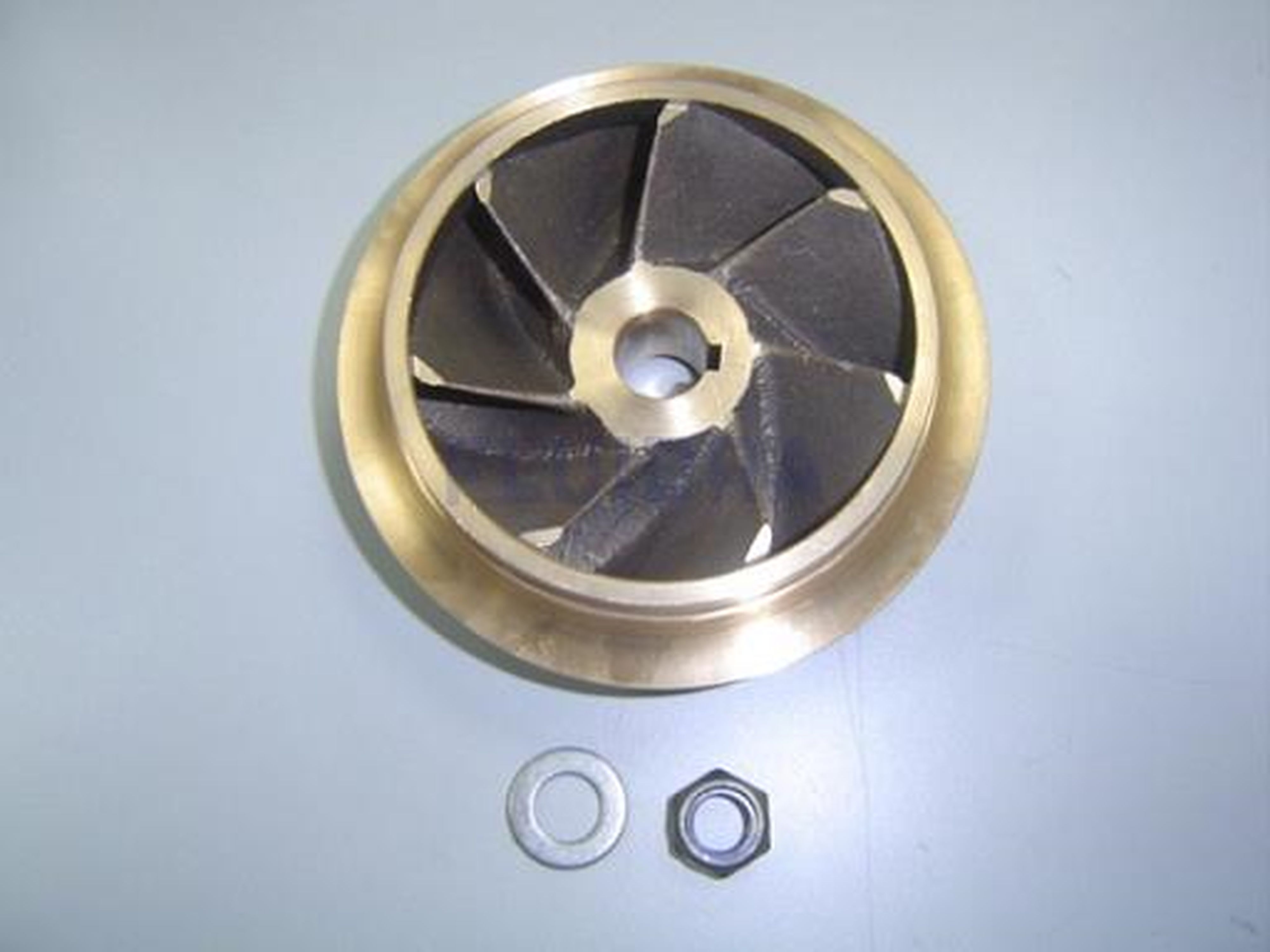 Astralpool - TURBINE PPE ATLAS 12,5HP BRONZE