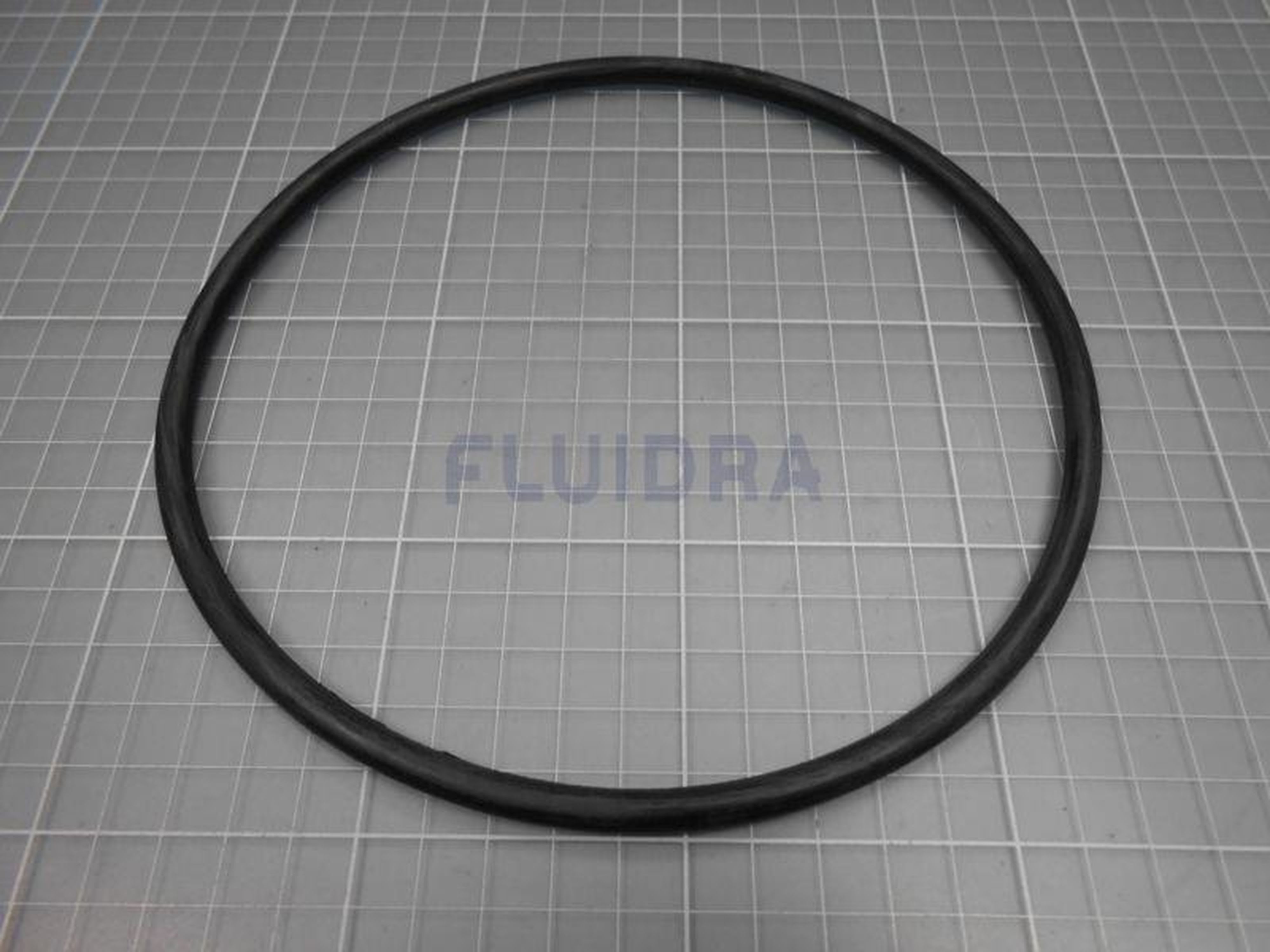 Astralpool - JOINT TORIQUE 164,2X6,4