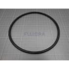 Astralpool - JOINT TORIQUE 164,2X6,4