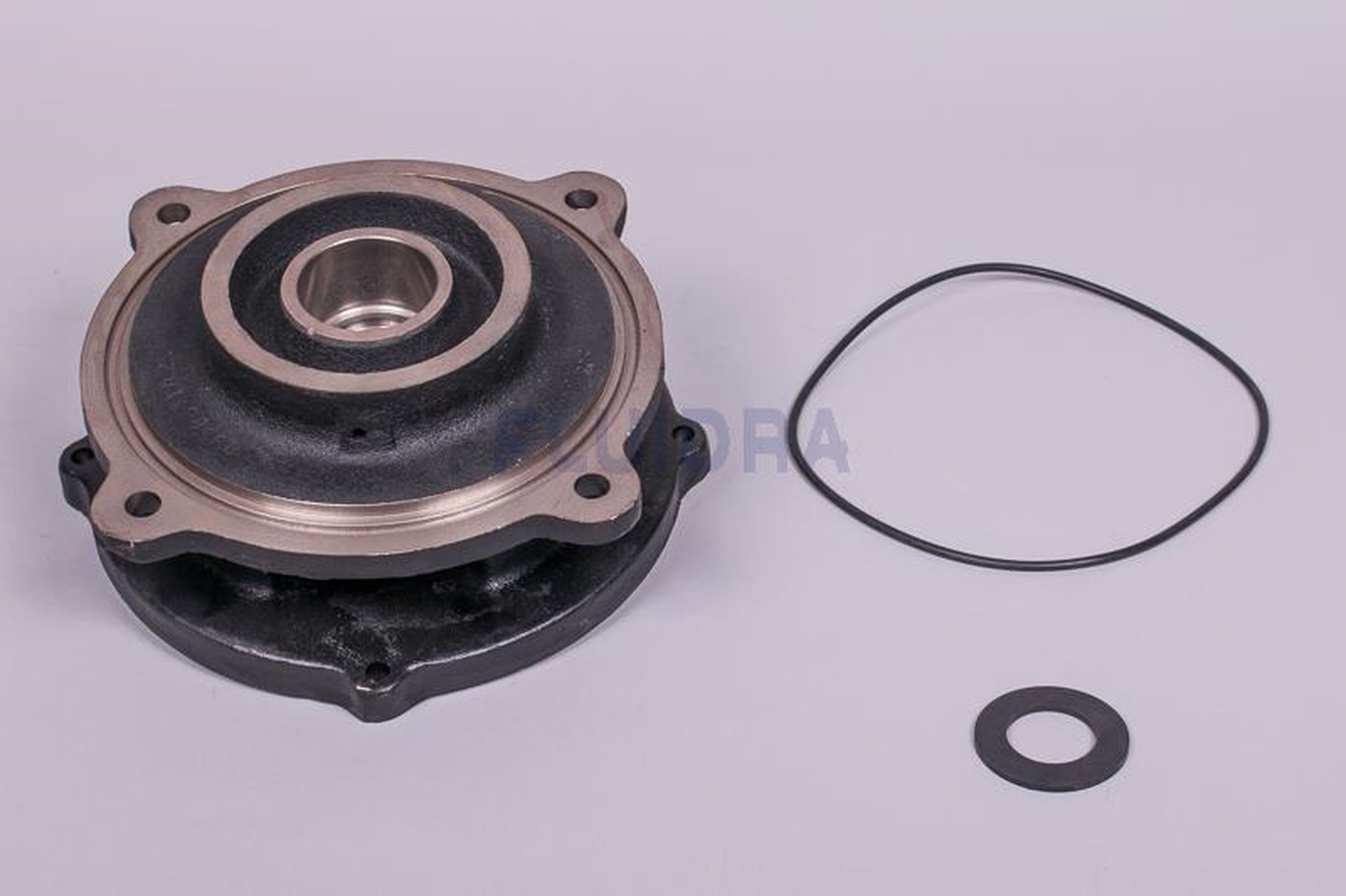 Astralpool - SUPPORT MOTEUR PPE 15CV 4405020228