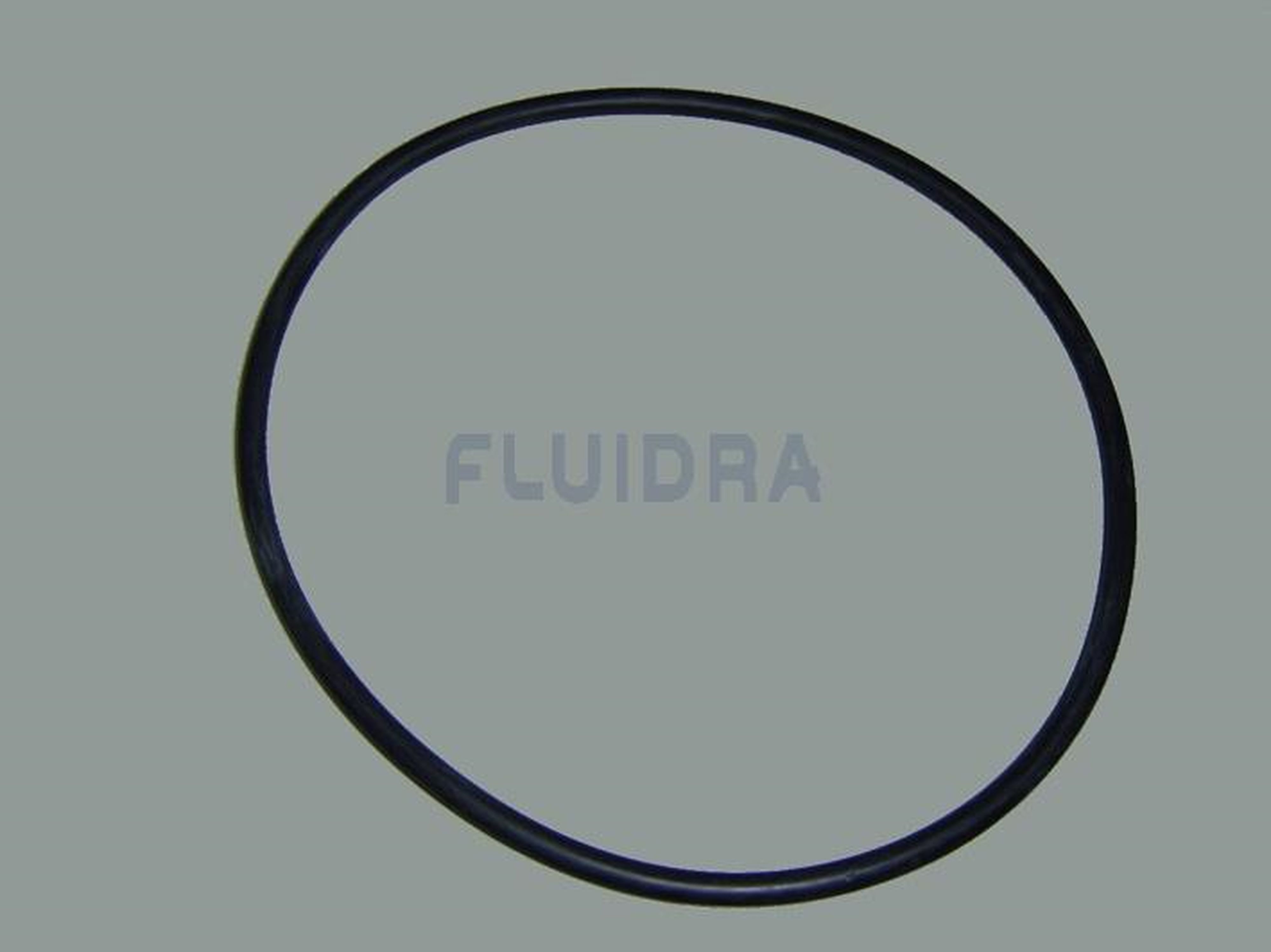 Astralpool - JOINT TORIQUE PREFILTRE