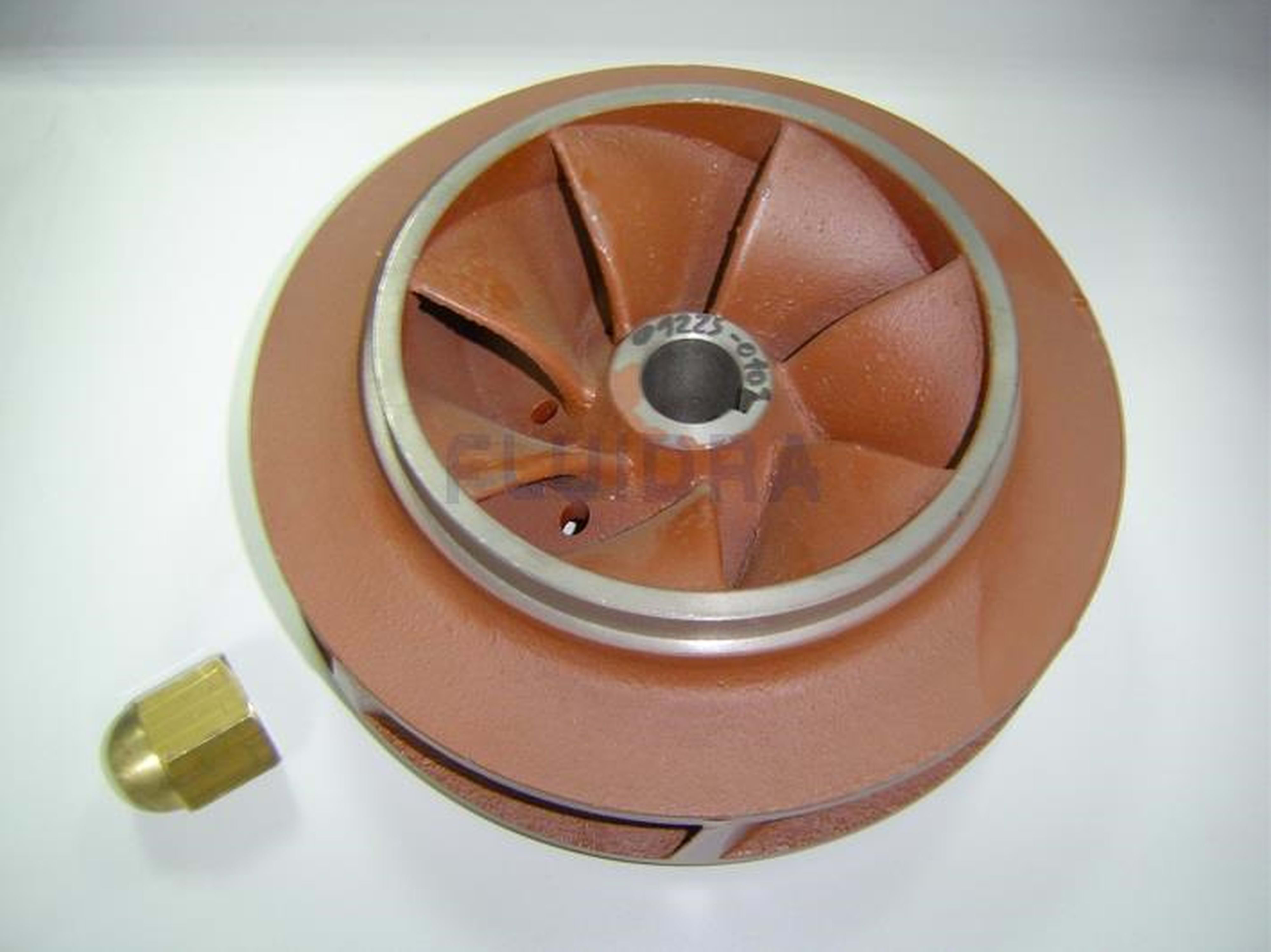 Astralpool - BOUT D'AXE 25CV 4405020510