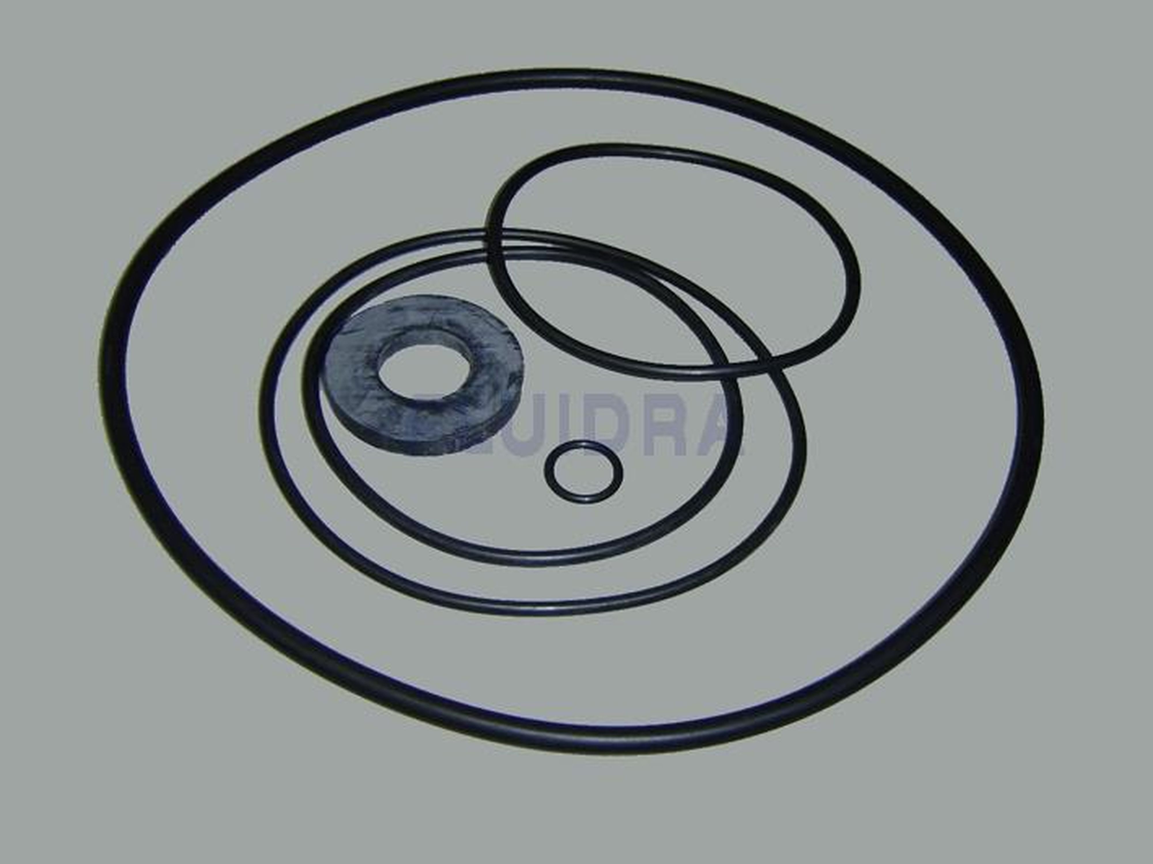 Astralpool - JOINT CAOUTCHOUC 4405030104