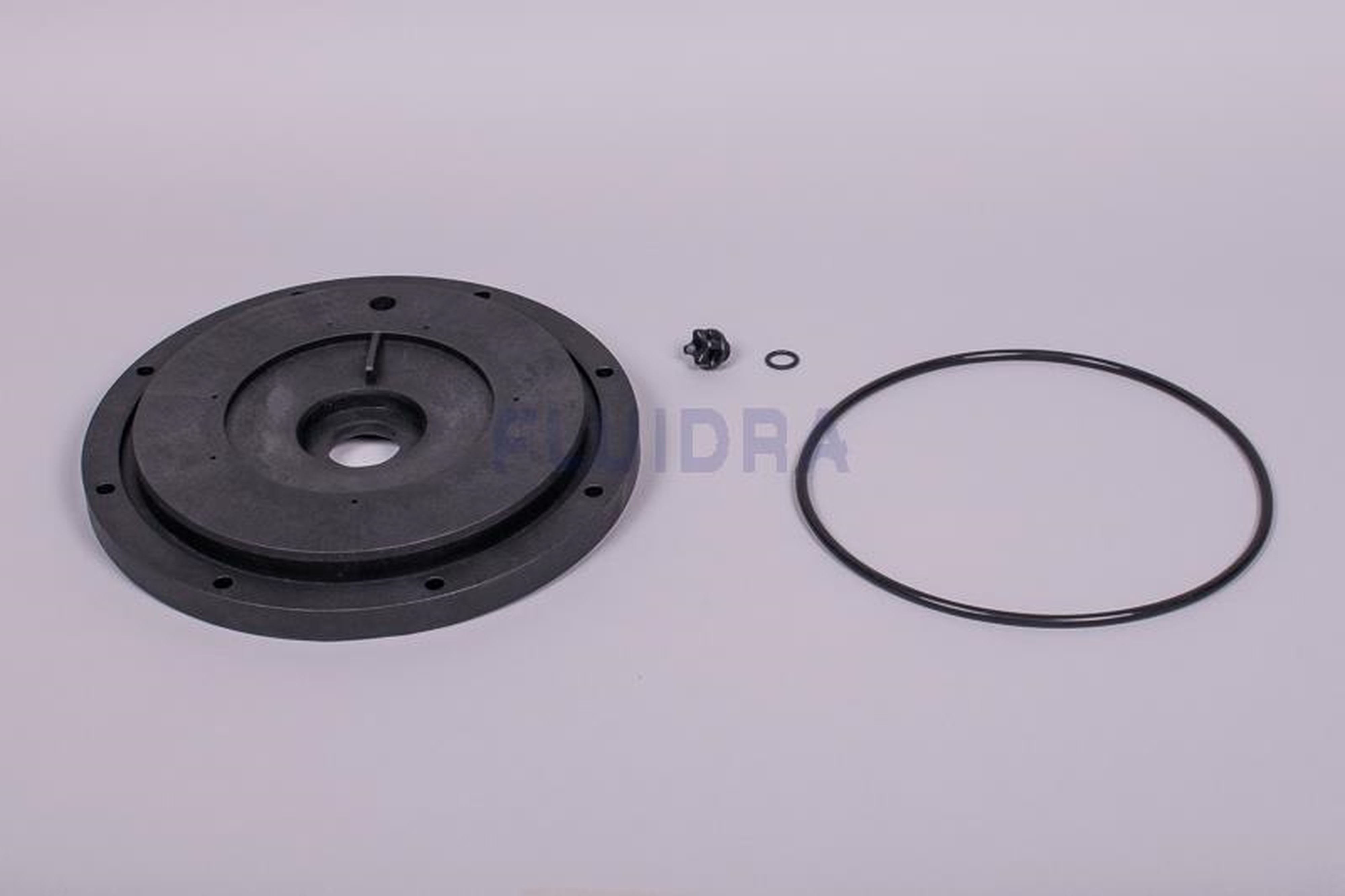 Astralpool - BRIDE GARNITURE MECANIQUE PPE