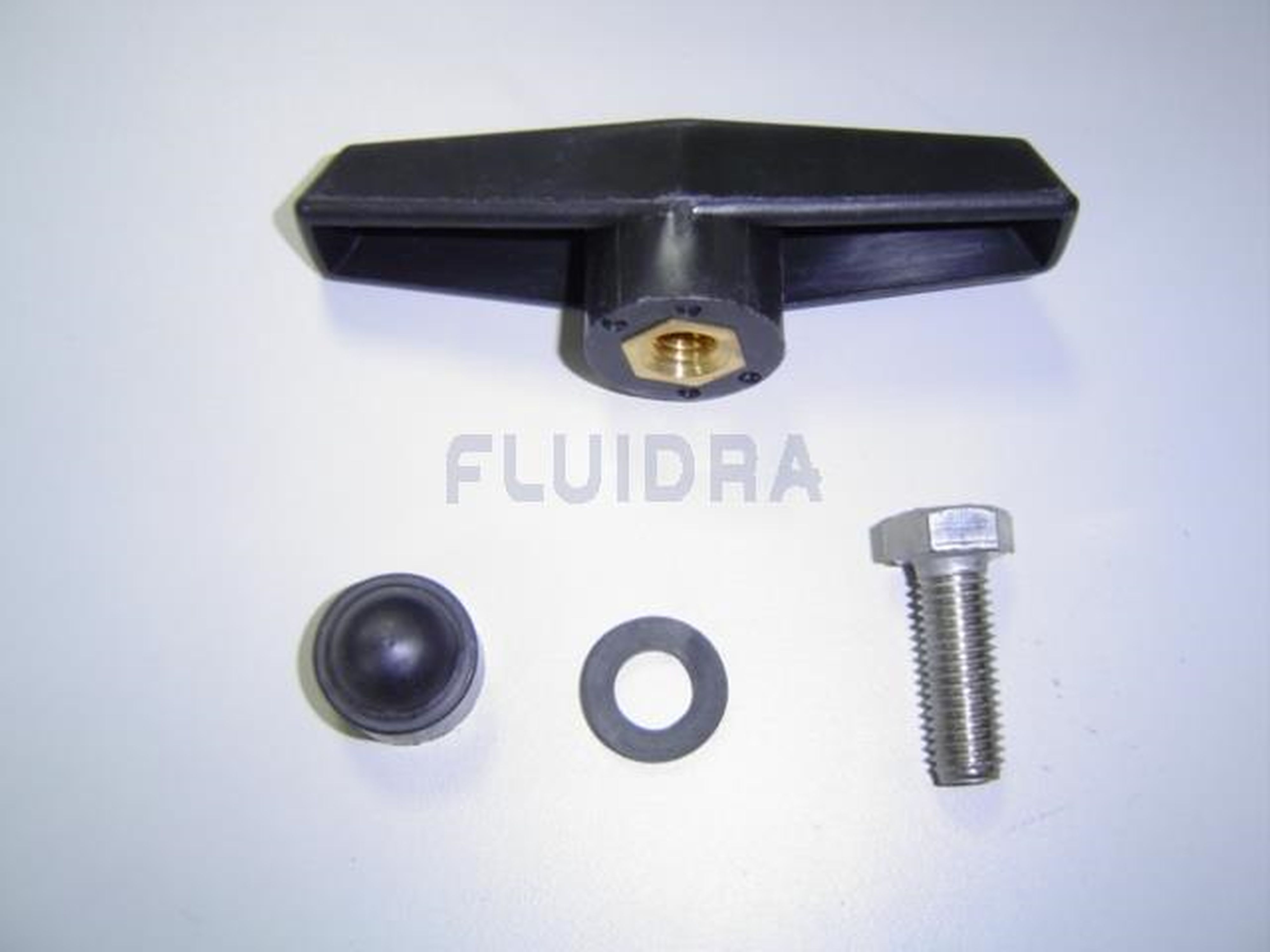 Astralpool - MANETTE +JOINT+VIS -4405040201