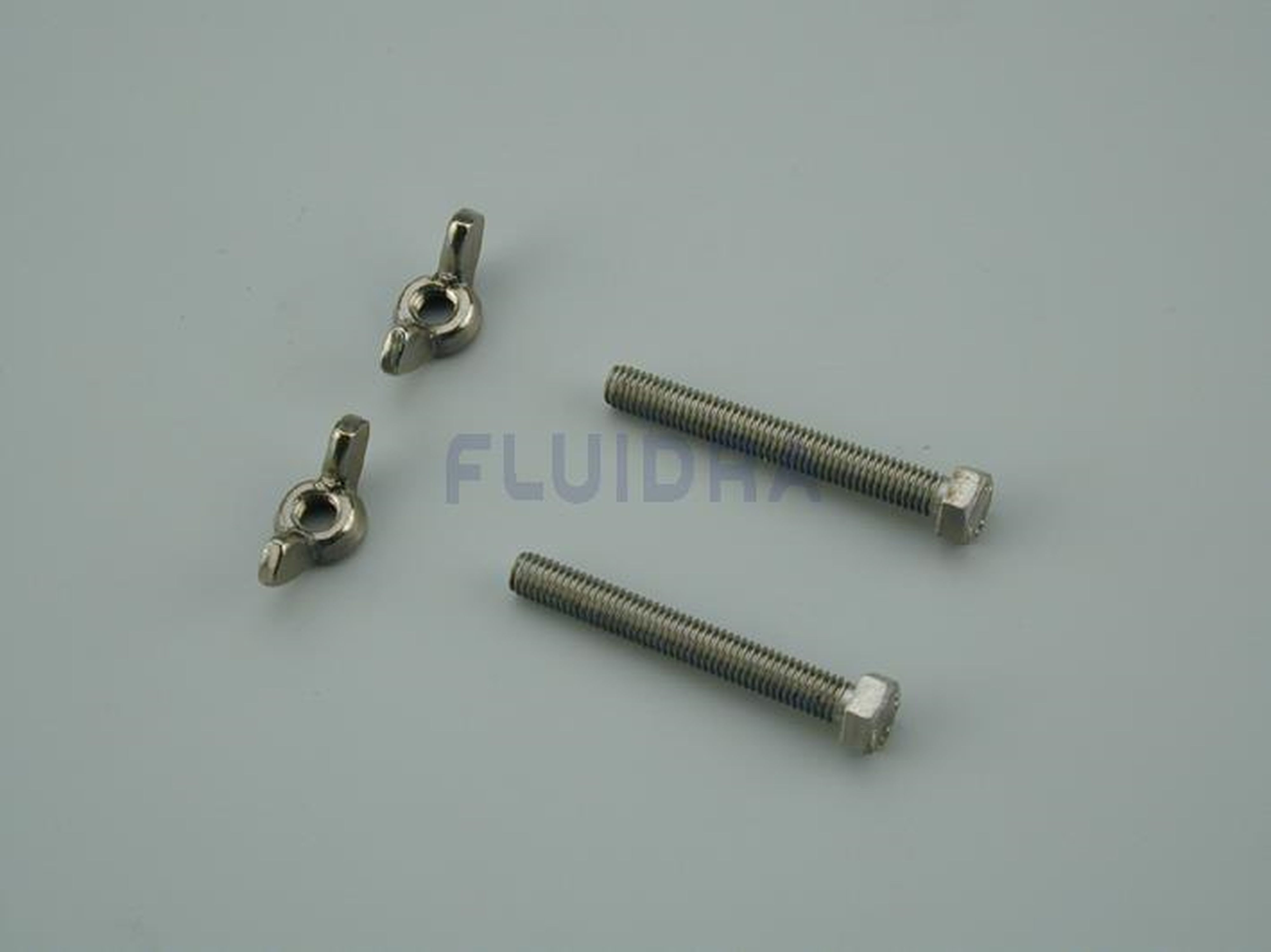 Astralpool - PAPILLONS ET VIS MANCHE