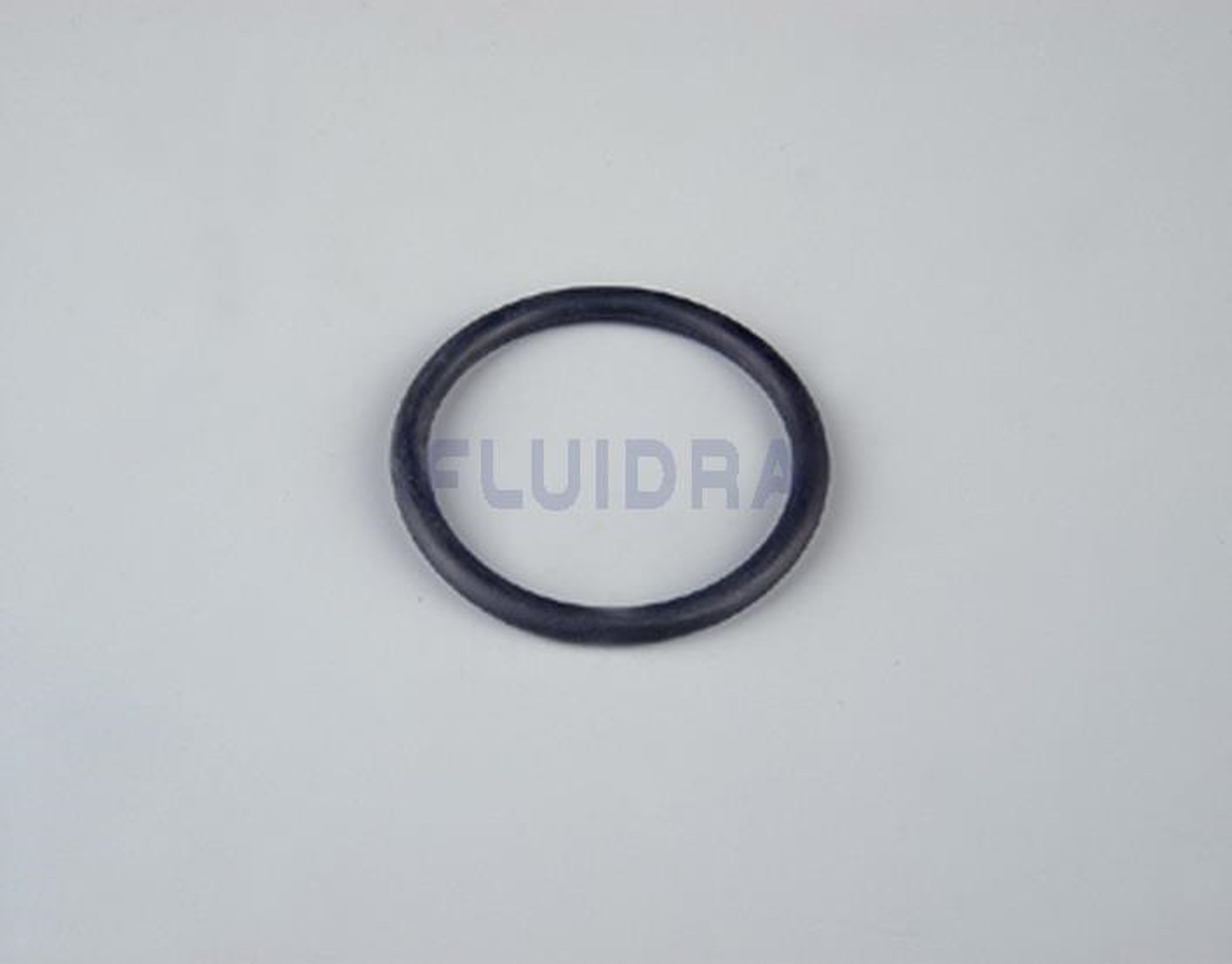 Astralpool - JOINT TORIQUE D50  4406040102