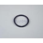 Astralpool - JOINT TORIQUE D50 4406040102