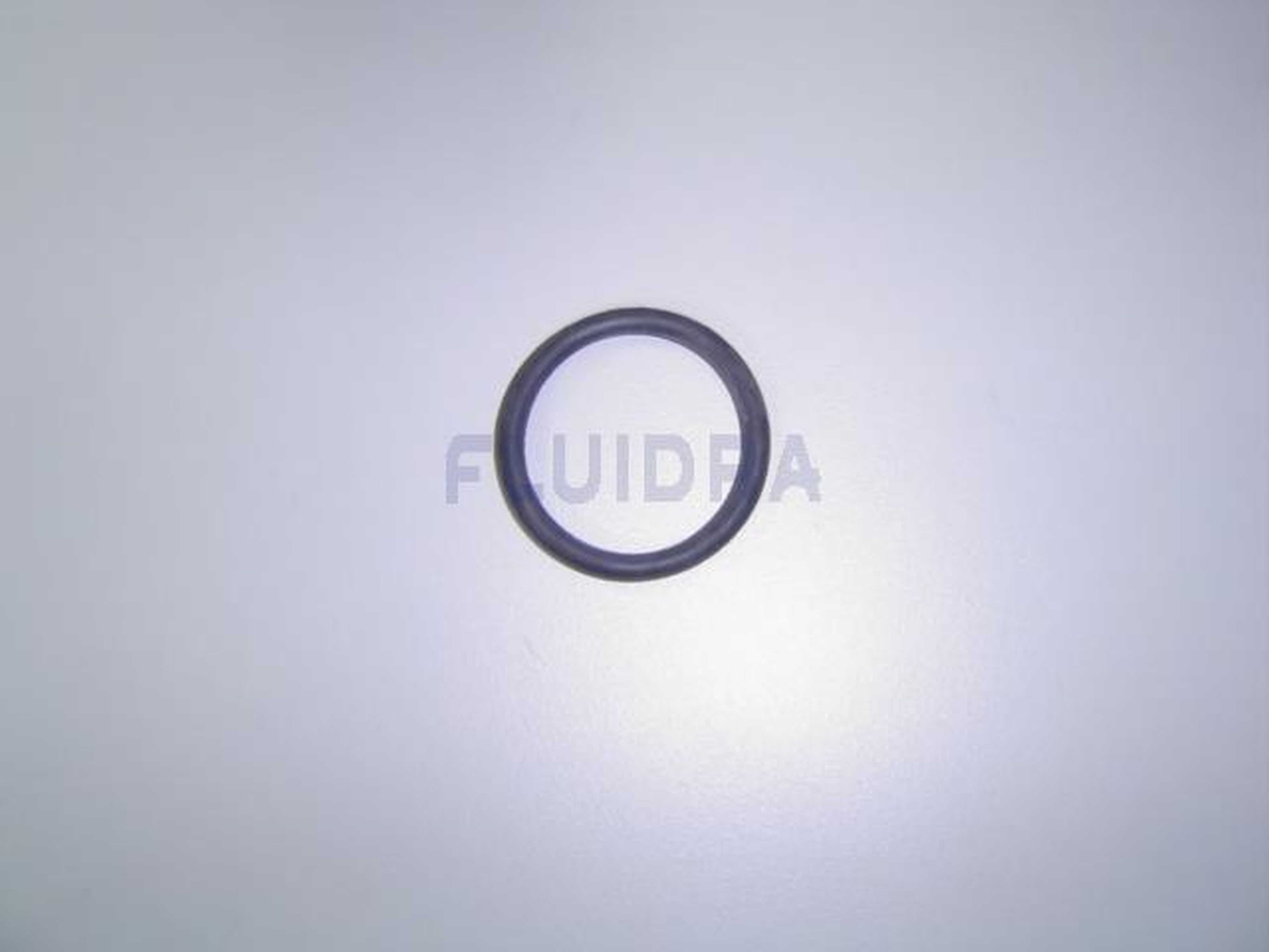 Astralpool - JOINT TORIQUE D38  4406040103