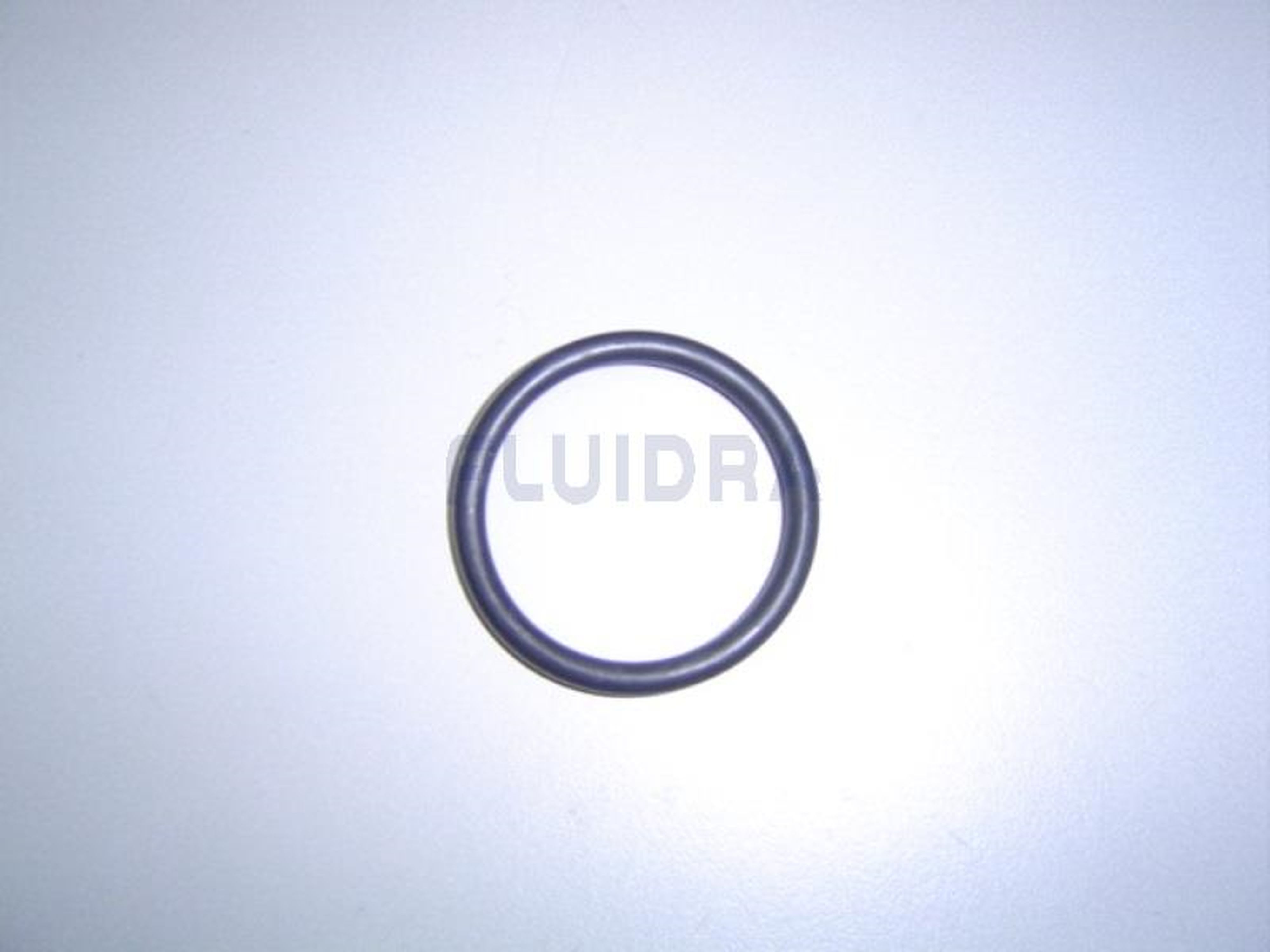 Astralpool - JOINT TORIQUE D35  4406040104