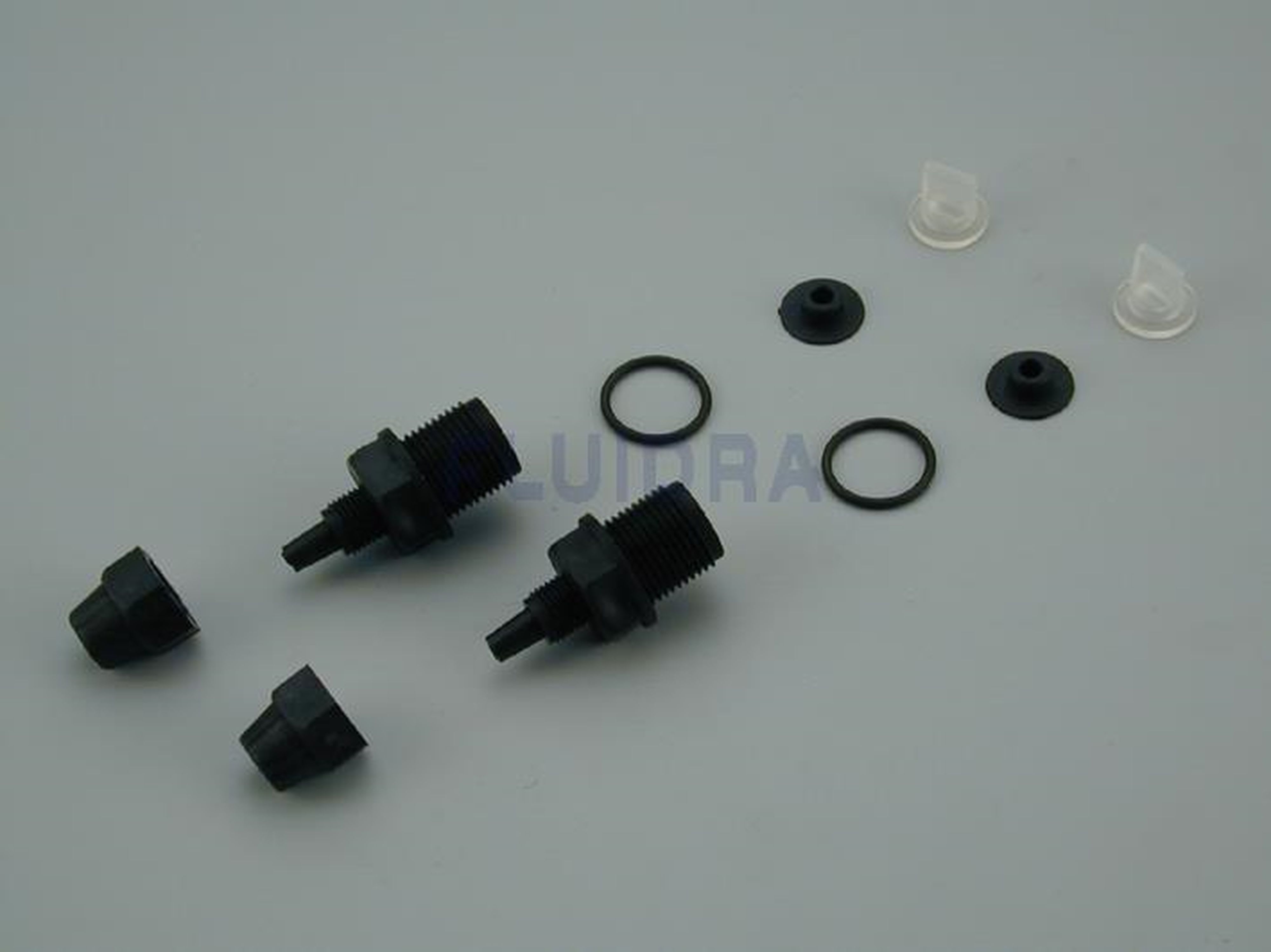 Astralpool - CORPS RACCORD + SILICONE