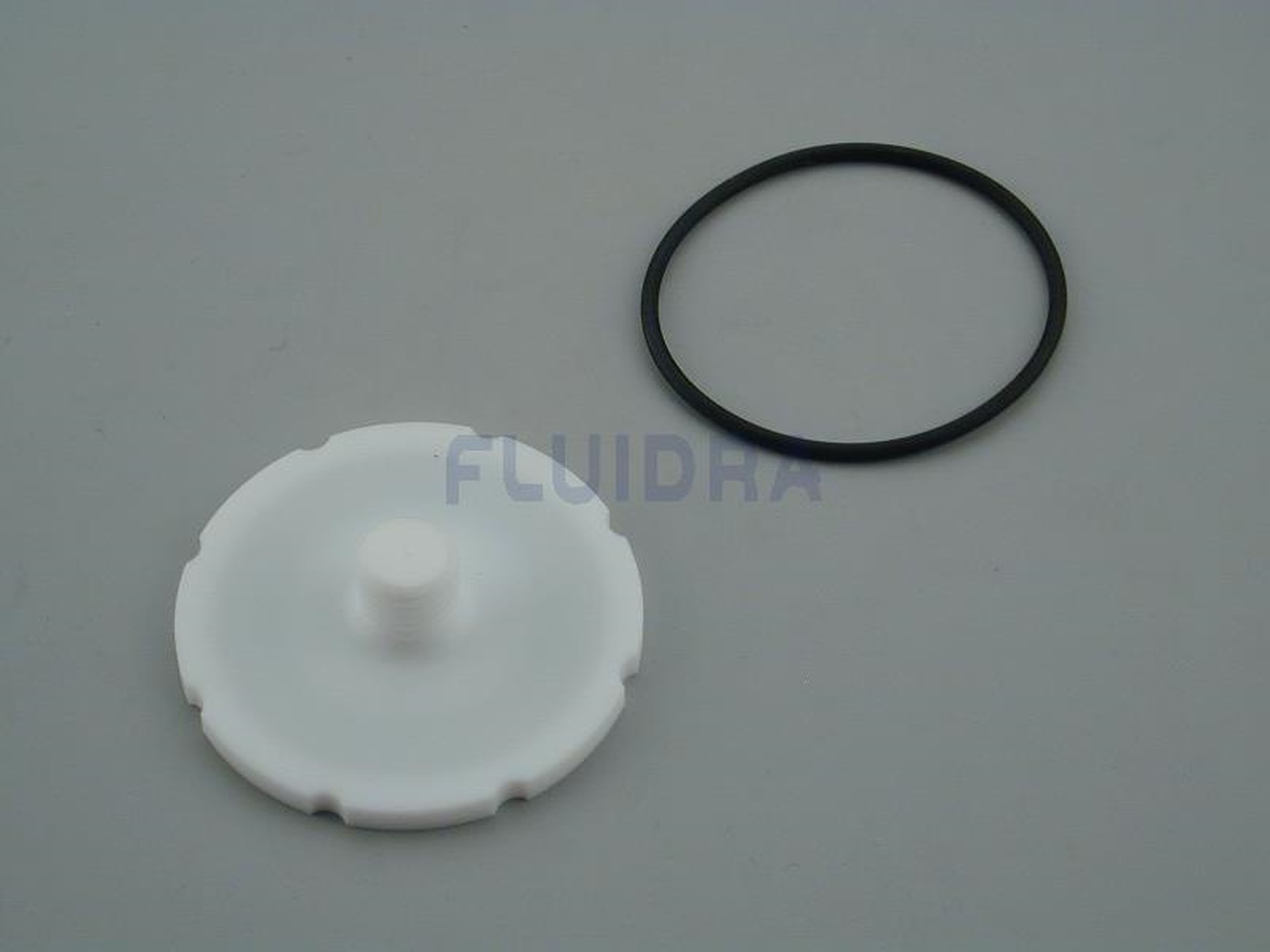 Astralpool - MEMBRANE ET RONDELLE PISTON