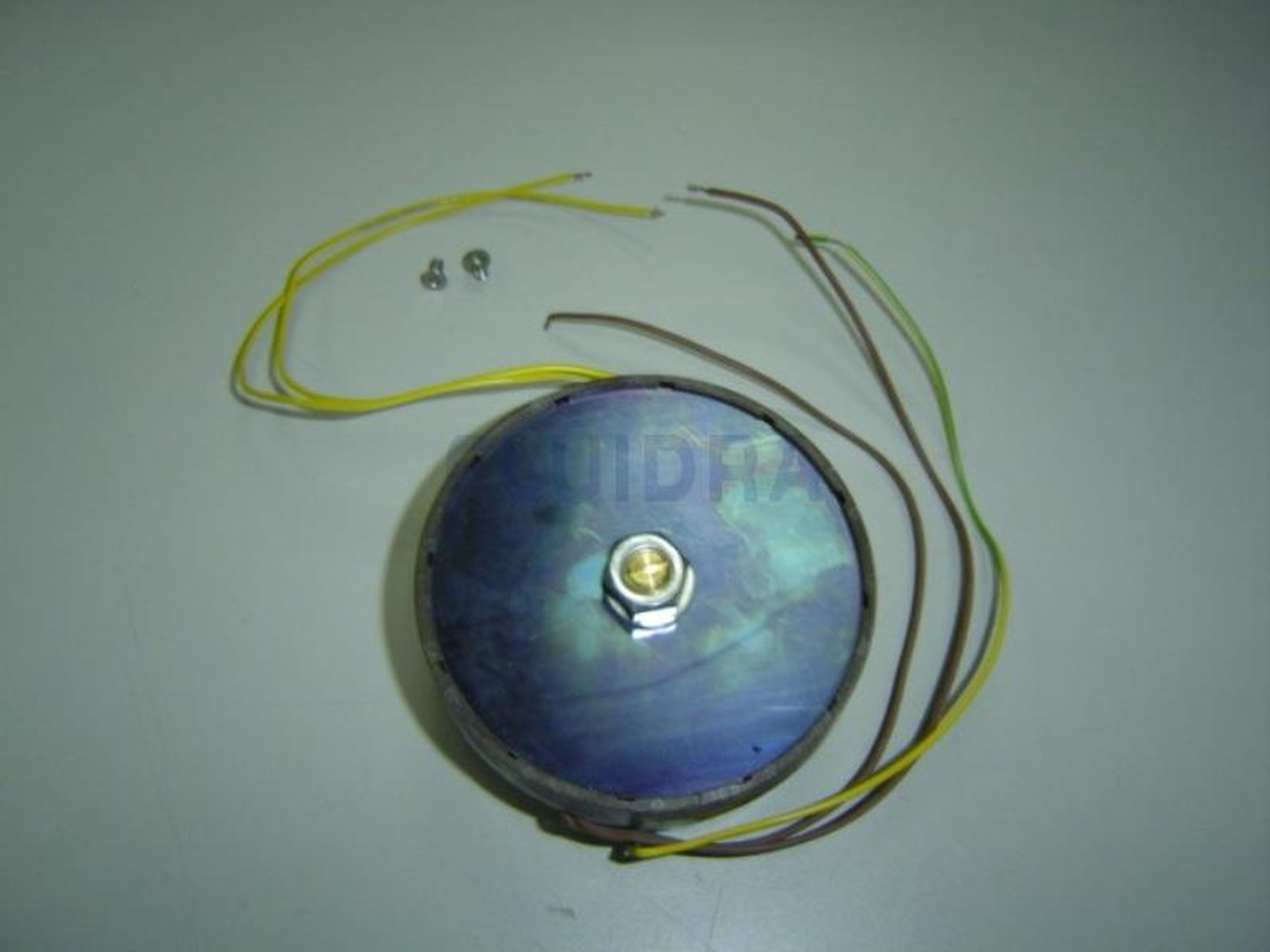 Astralpool - ELECTROAIMANT 20L 5KG