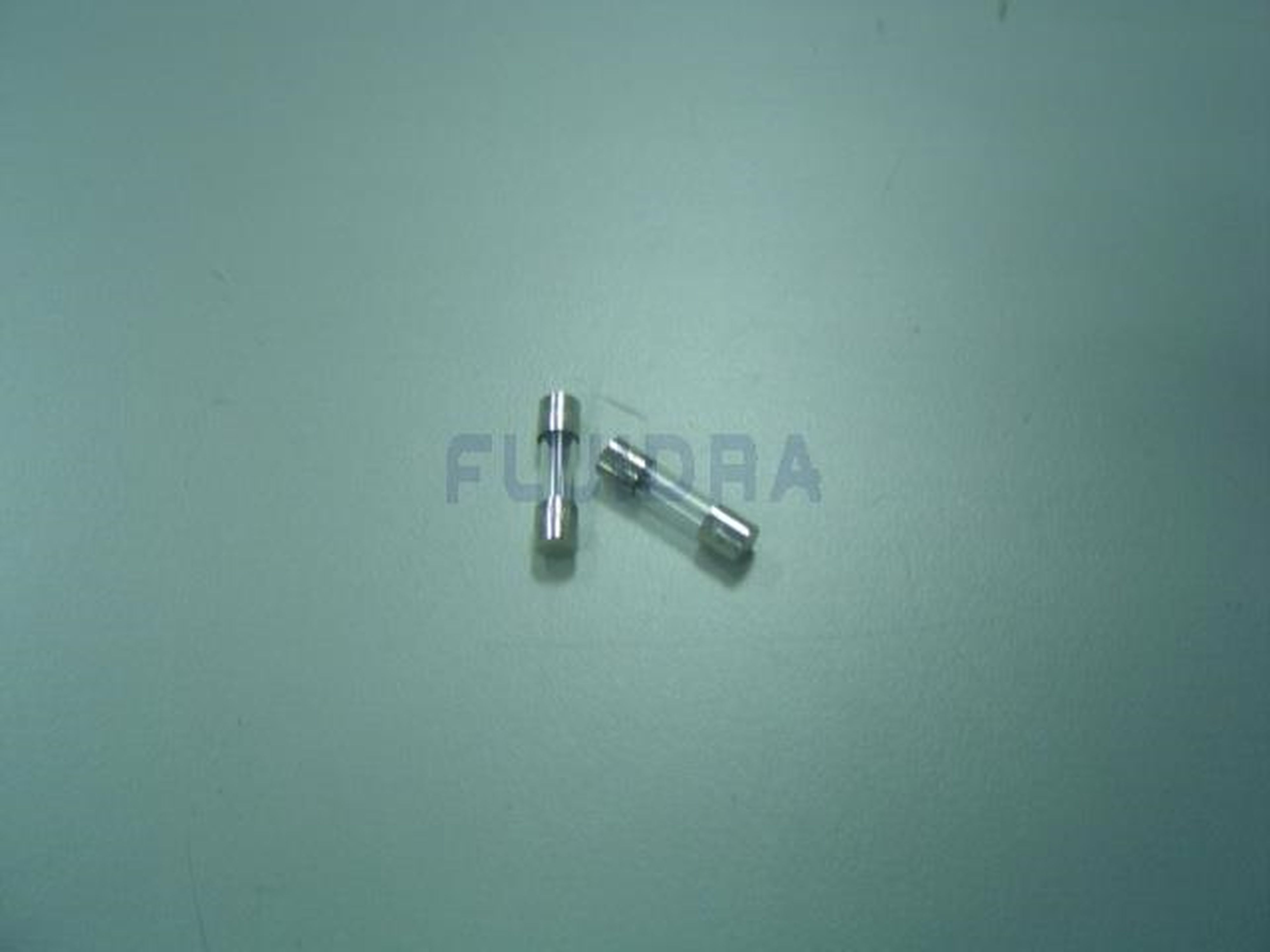 Astralpool - FUSIBLE NEON 1 AMPERE ELECTROLYSE