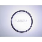 Astralpool - JOINT TORIQUE CELLULE