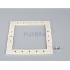 Astralpool - JOINT SKIMMER 4411030305