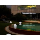 Astralpool - Luminaire d'Ambiance Starlight Altair Ovoïde, Interieur, Exterieur ou sur l'eau