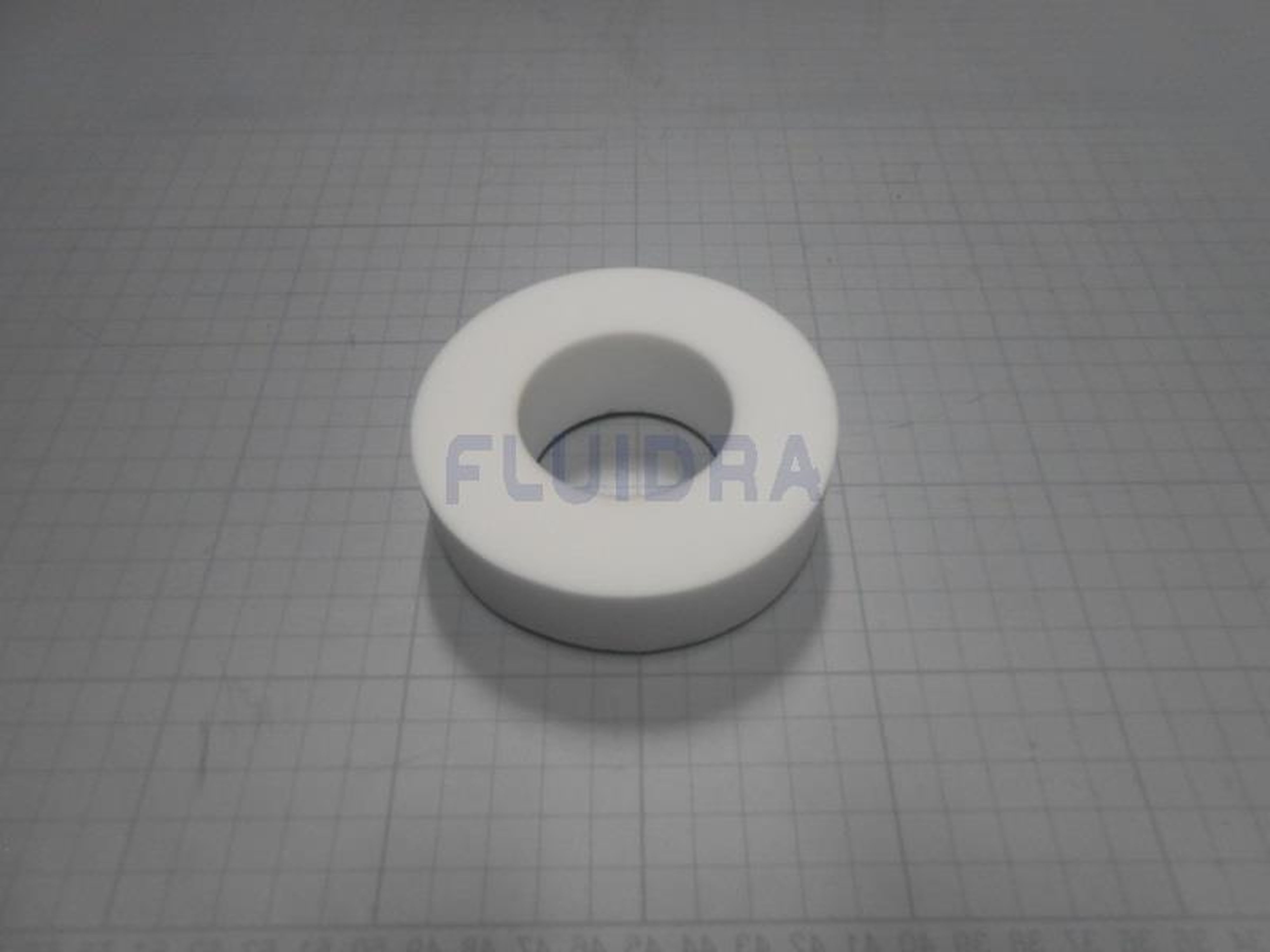 Astralpool - ANNEAU WONDER BRUSH