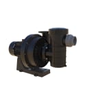 Astralpool - POMPE AUTOASPIRANTE KIVU 1500RPM 3CV avec préfiltre 400/690 V