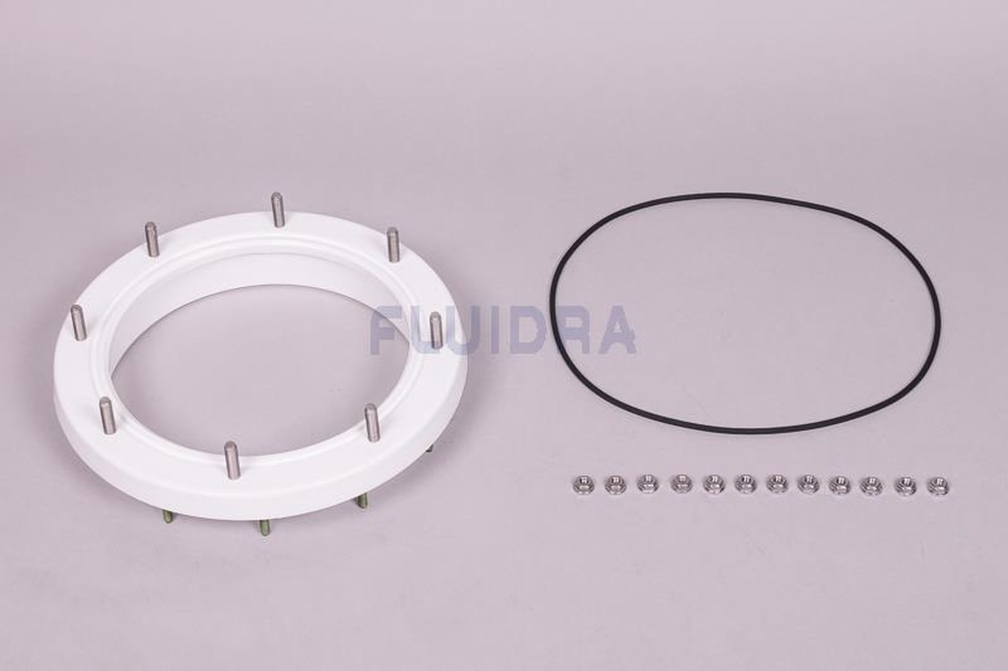 Astralpool - ENS BAGUE JOINT JUPITER