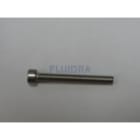 Astralpool - VIS M6X50