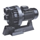 Astralpool - Pompe Ncc 3Cv Mono