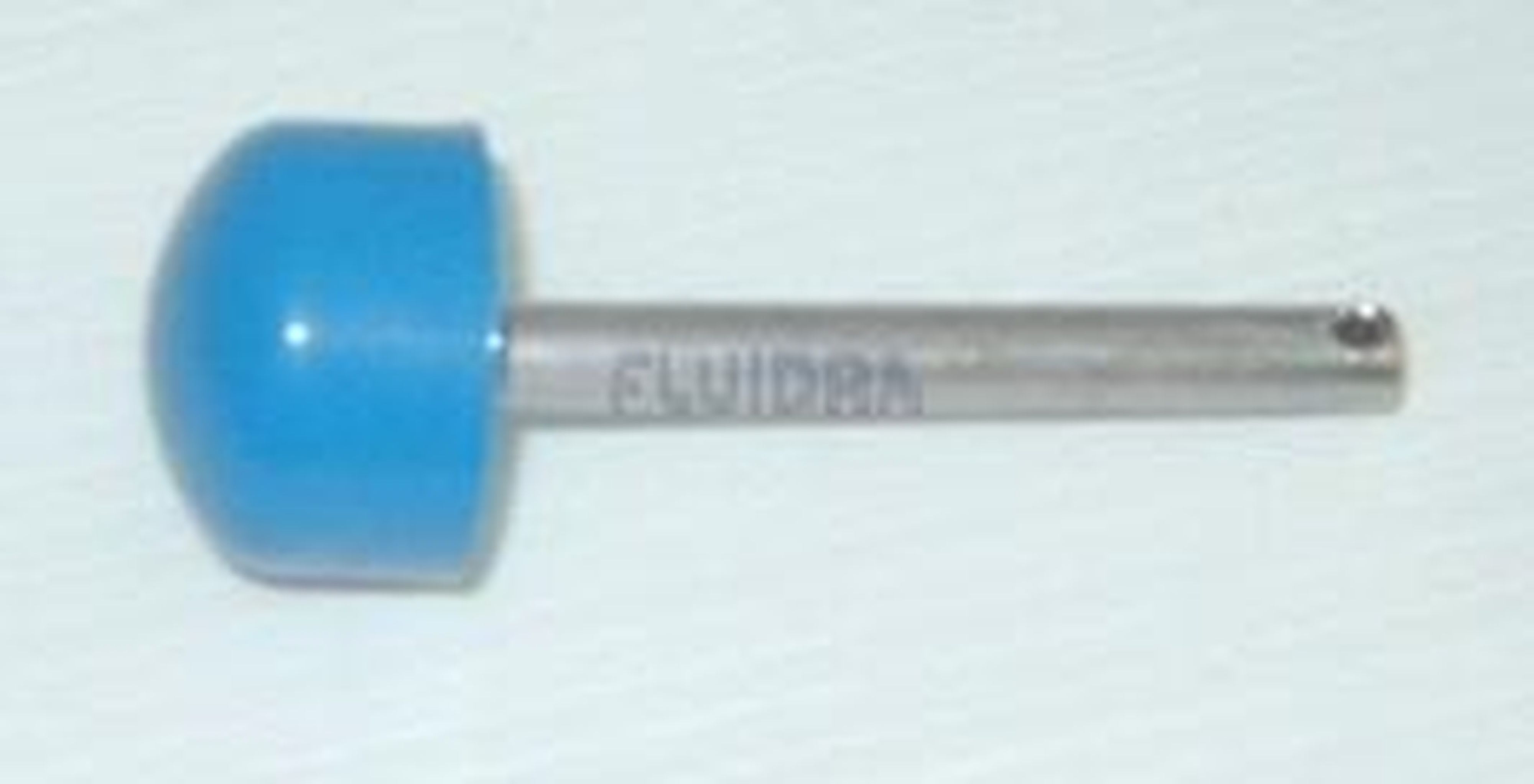 Astralpool - GOUPILLE CHAPE IBAVAC