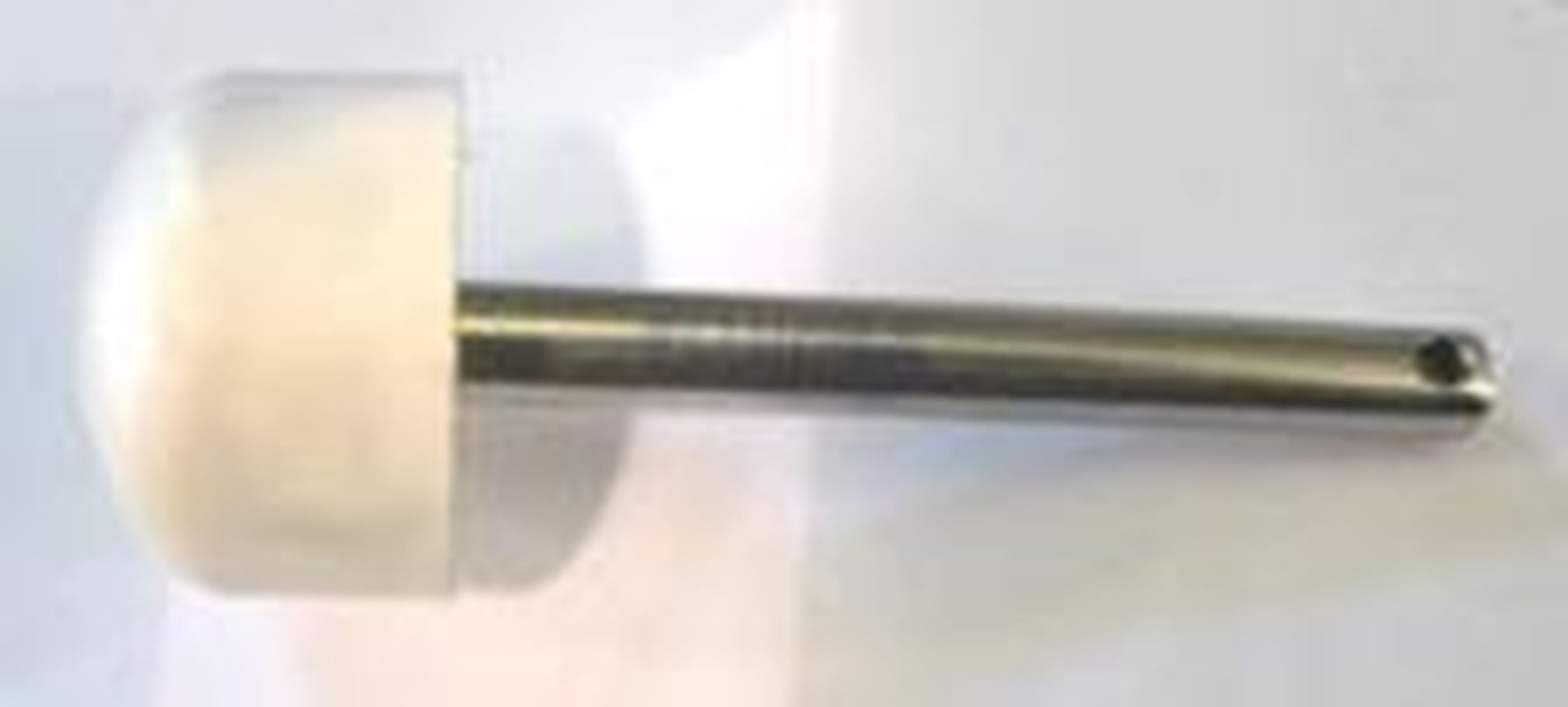 Astralpool - GOUPILLE CHAPE OCLAIR