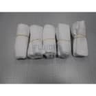 Astralpool - SACS FILTRE ROBOT 5 UN