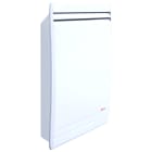 Intuis Thermo - Radiateur gaz Dulcis B1000 - 1kW mural modulant basse conso fonte ventouse