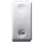 Gewiss - BOUTON-P.1P NO 10A -CLE'- SY/WT