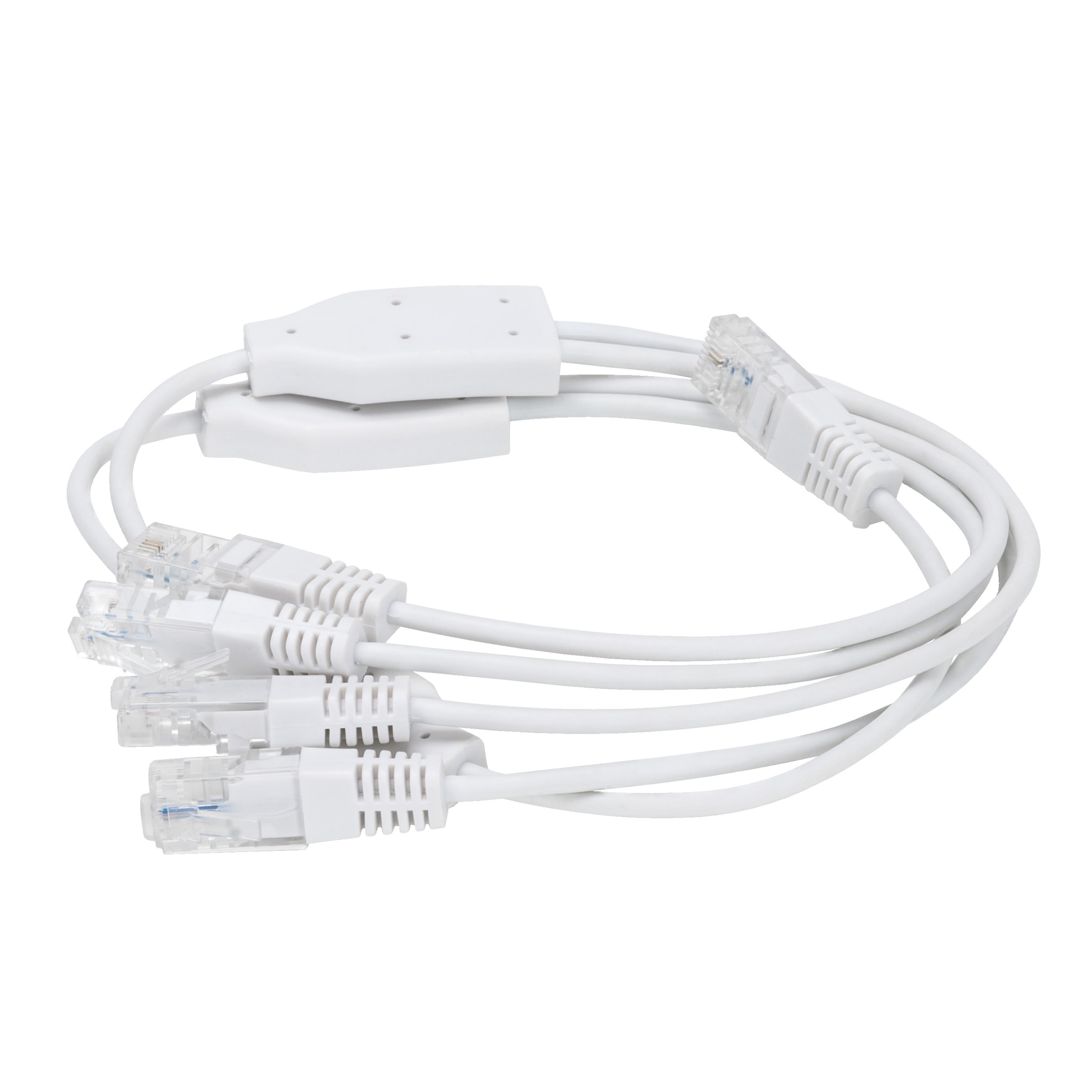 Gewiss - CORDON MULTIPLICAT.1IN RJ45/4 RJ45 OUT