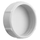 Gewiss - CACHE-VIS EN PLASTIQUE - DIAMÈTRE 25mm - GW44623