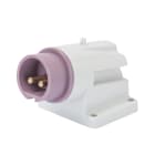 Gewiss - SOCLE CON.SAIL.PR.90° 2P 16A 24V S.R.