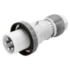 Gewiss - FICHE MOB. HP IP67 2P+T 125A 500V 7H - GW60667H