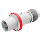 Gewiss - FICHE MOB. HP IP44 2P+T 63A 400V 9H - GW61019H