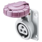 Gewiss - SOCLE DE PRISE 10°.ET.2P 16A 24V S.R.