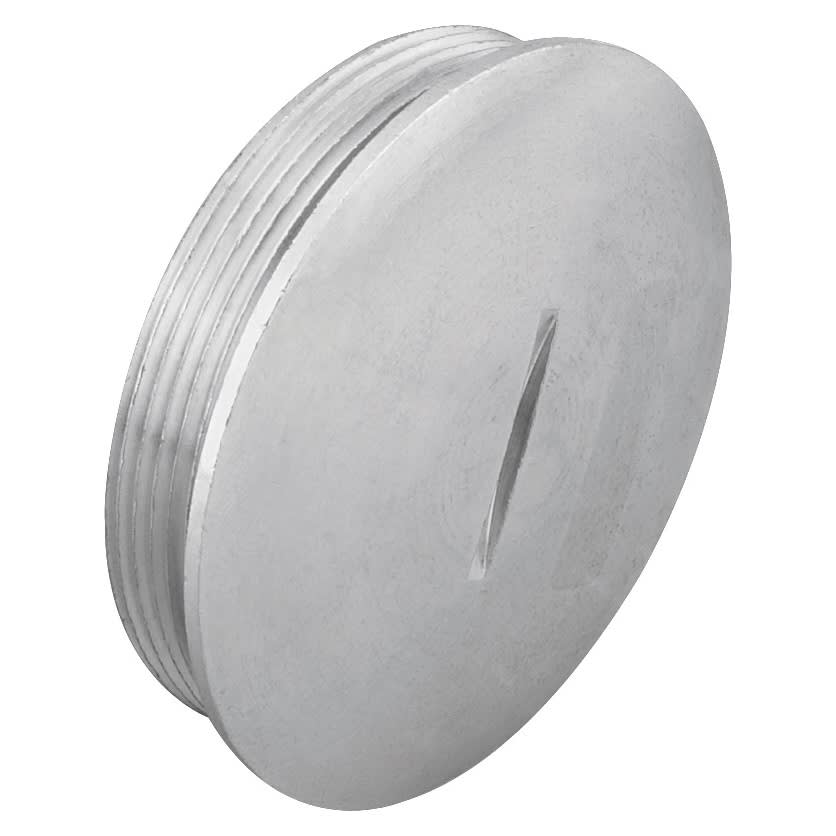 Gewiss - BOUCHON MÉTALLIQUE M25 IP65