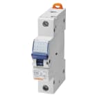 Gewiss - DISJONCTEUR MAGNETO-THERM.1P C40 25KA 1M - GW92811