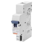 Gewiss - DECL MA TENSION MN - ID IS - 48V AC/DC - GWD6021